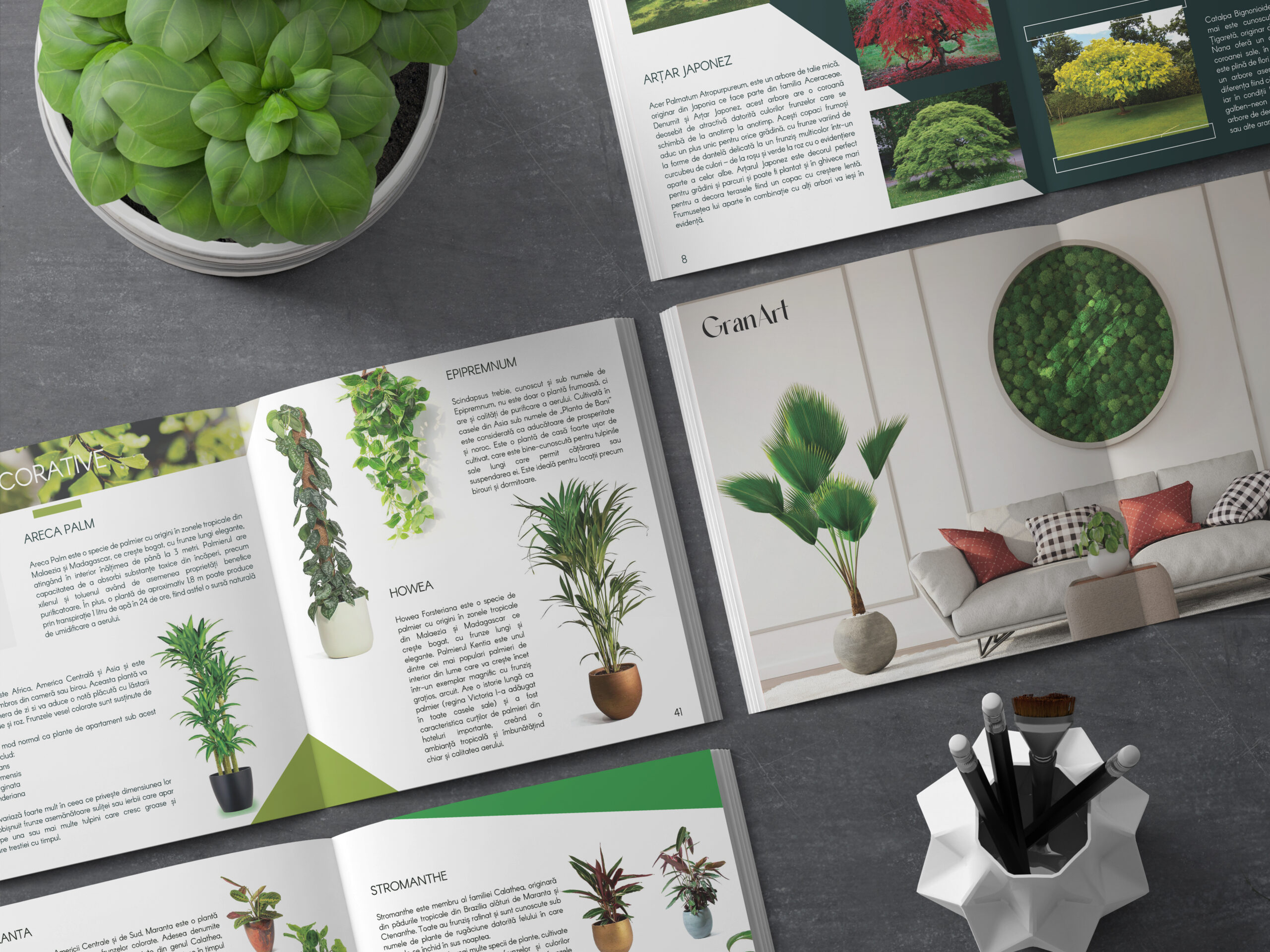 Pagini de catalog GranArt dedicate plantelor de interior