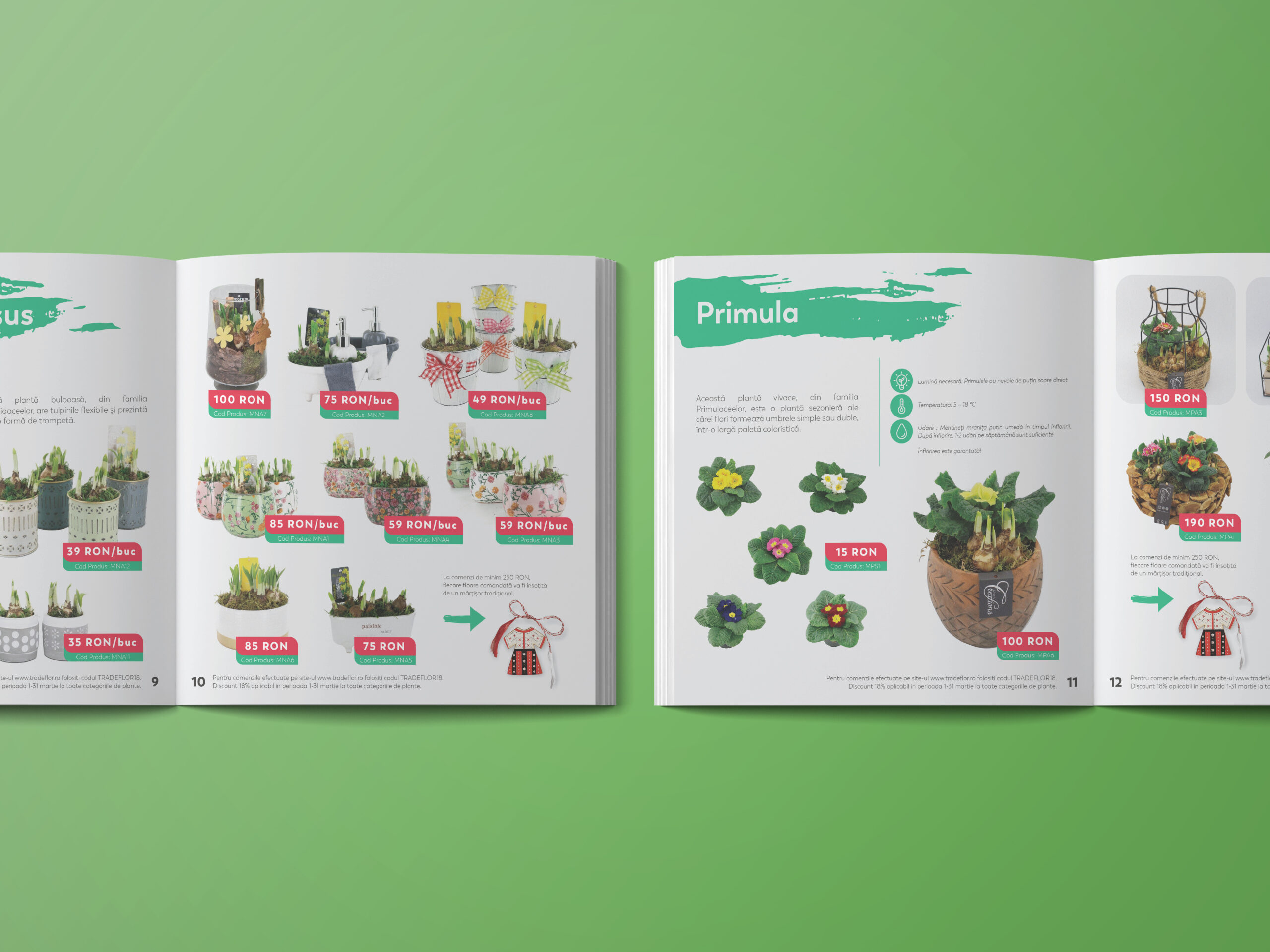 Pagini de catalog GranArt cu produse și plante Primula