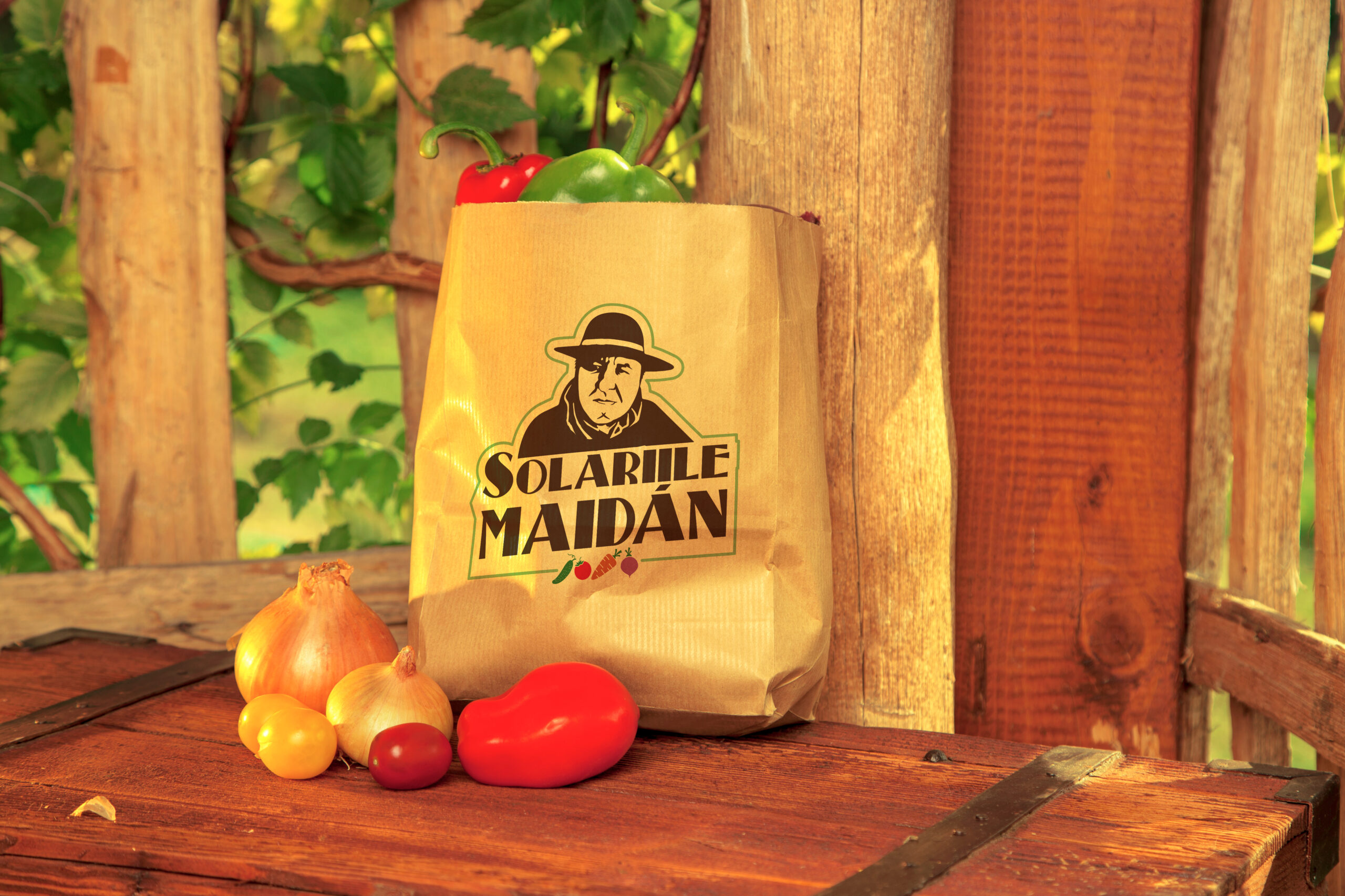 Pungă de hârtie personalizată cu logo-ul Solariile Maidan
